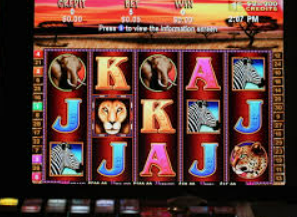 MG游戏平台试玩入口最新版